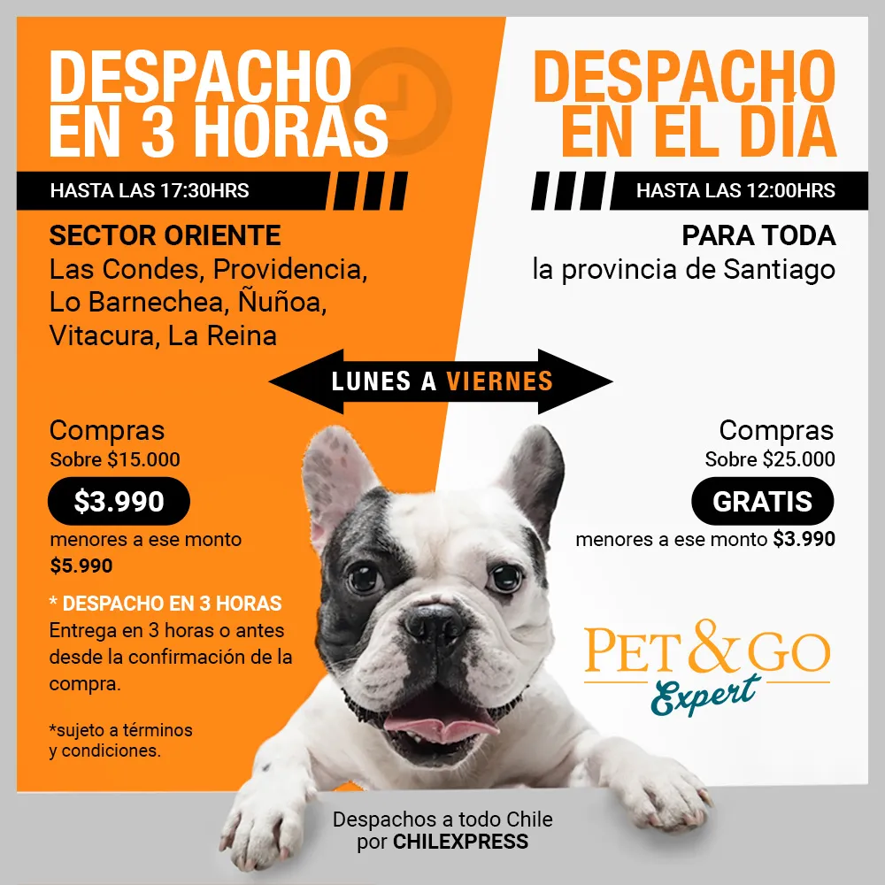 Pieza de diseño para Pet & Go