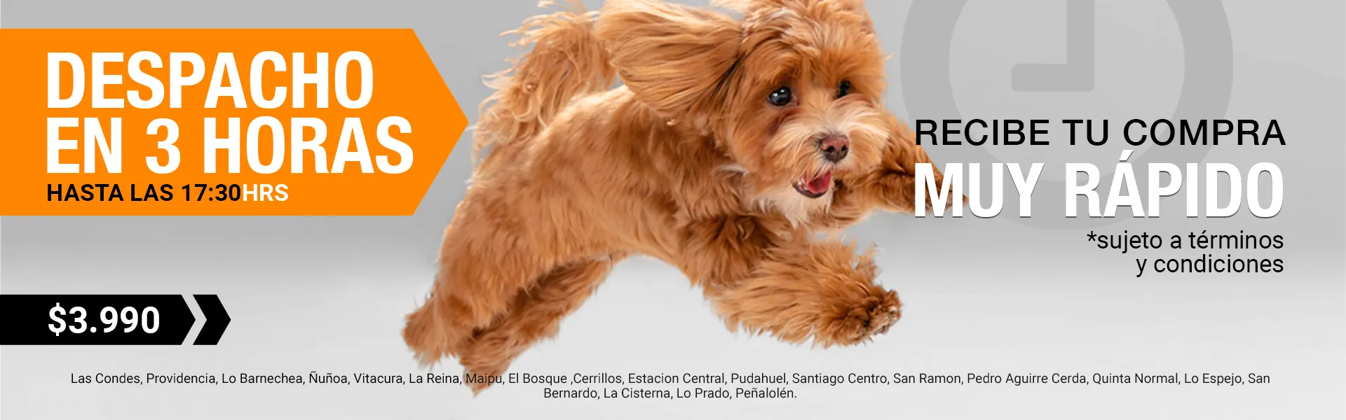 Pieza de diseño para Pet & Go